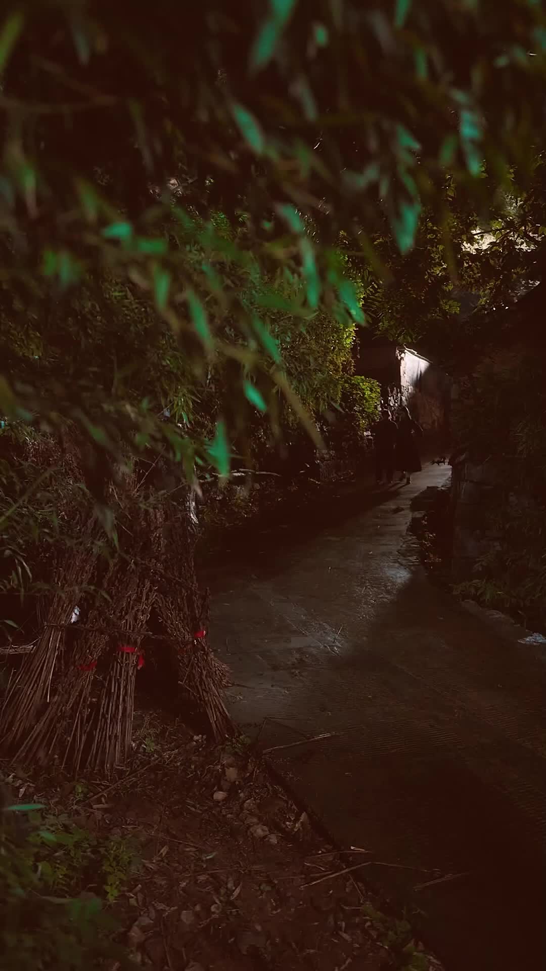 Episode 6 - Trapped in Mountain River